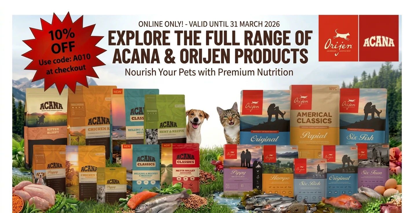 Elevate Your Pet's Coastal Lifestyle